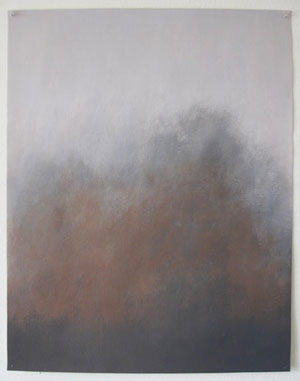 acrylic 981