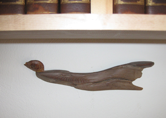 duck