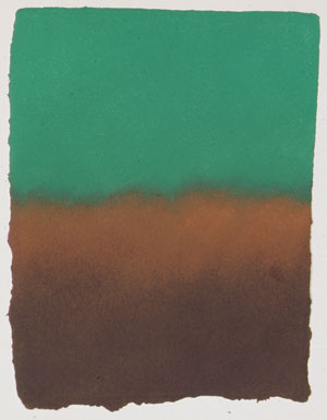 Oil 5021