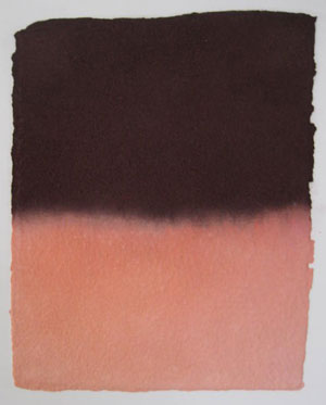 pastel 1046
